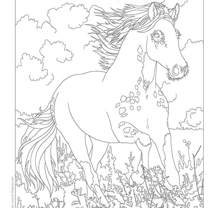 Horses Coloring Book