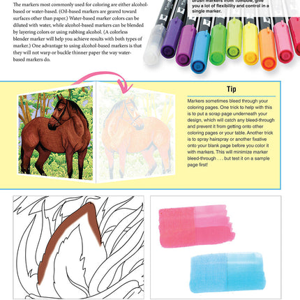 Horses Coloring Book