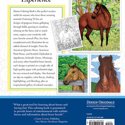 Horses Coloring Book