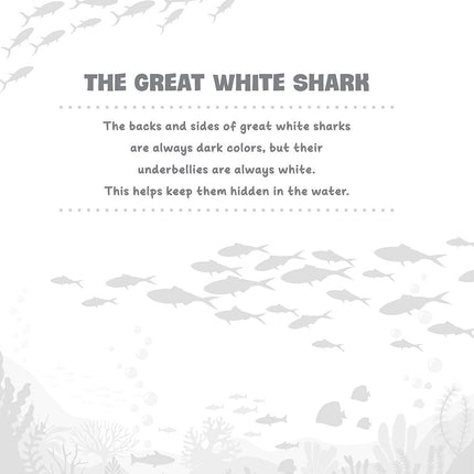 Sharks and Ocean Creatures Coloring Book