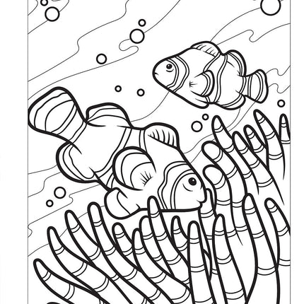 Sharks and Ocean Creatures Coloring Book