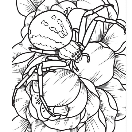 Super Cool Bugs and Spiders Coloring Book