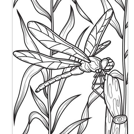 Super Cool Bugs and Spiders Coloring Book