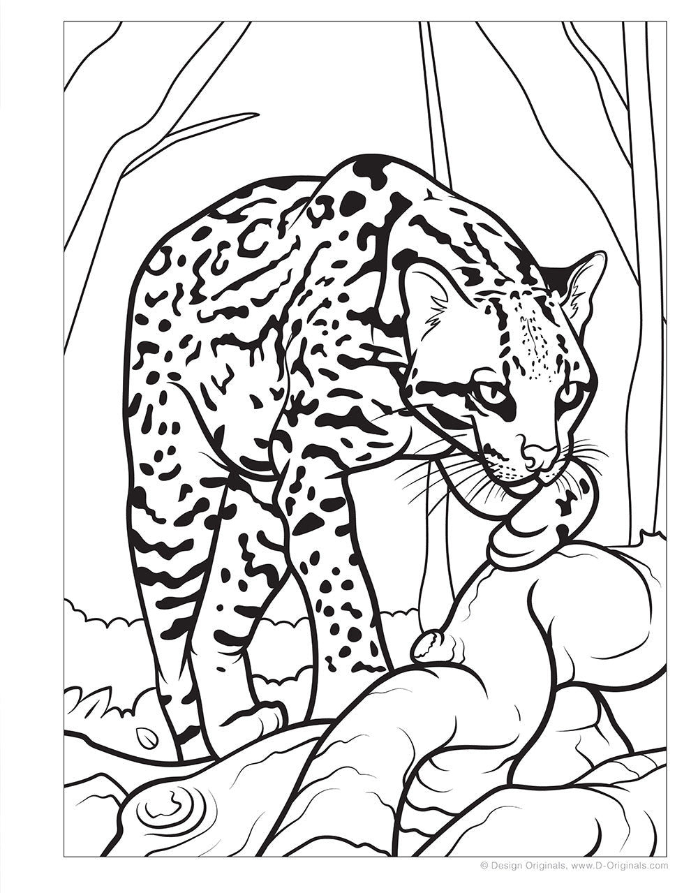 Great Amazon & Rainforest Coloring Book (with stickers)