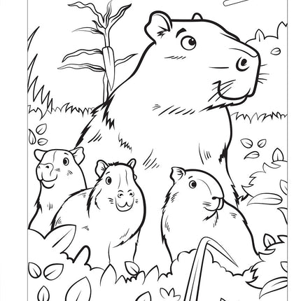 Great Amazon & Rainforest Coloring Book (with stickers)