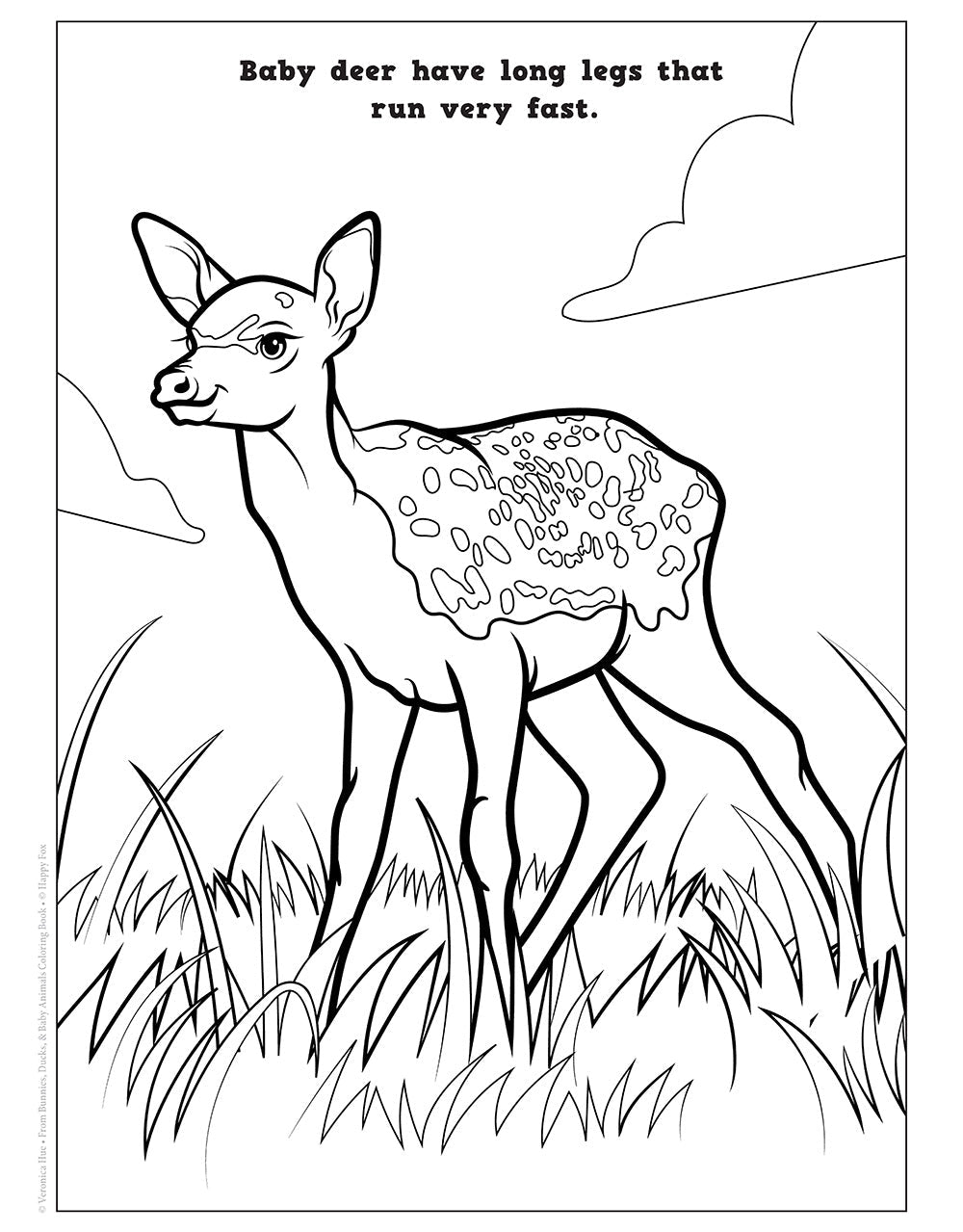 Bunnies, Ducks, and Baby Animals Coloring Book