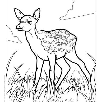 Bunnies, Ducks, and Baby Animals Coloring Book