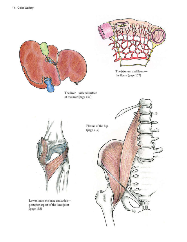 Complete Anatomy Coloring Book, Newly Revised and Updated Edition