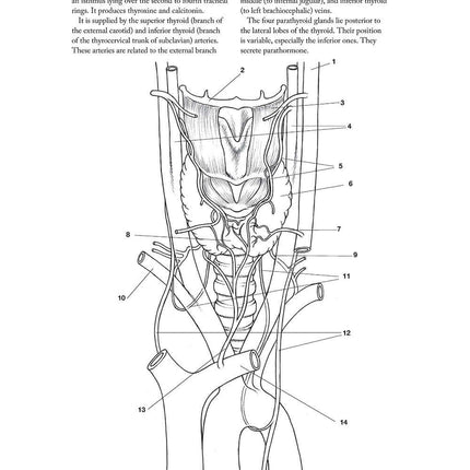 Complete Anatomy Coloring Book, Newly Revised and Updated Edition