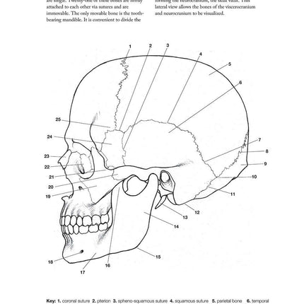 Complete Anatomy Coloring Book, Newly Revised and Updated Edition