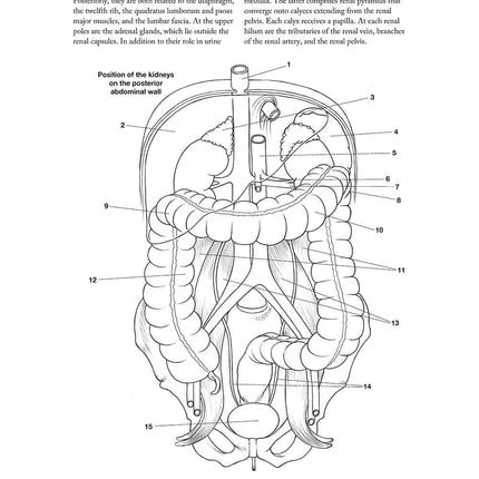 Complete Anatomy Coloring Book, Newly Revised and Updated Edition