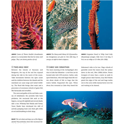 Dive Atlas of the World