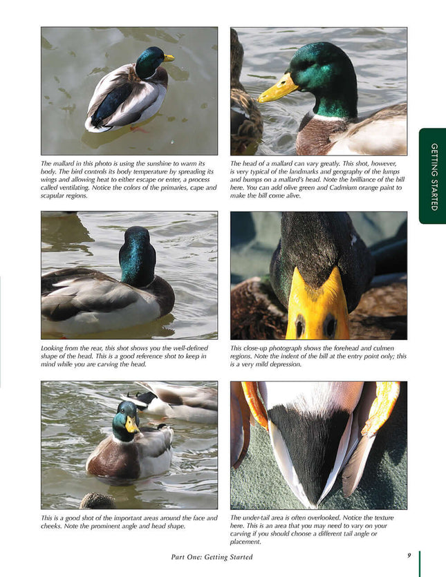 Duck Decoys: Classic Carving Projects Made Easy