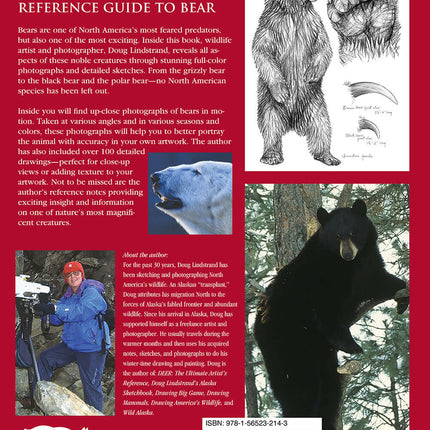 Bear: The Ultimate Artist's Reference