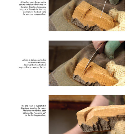 Illustrated Guide to Carving Tree Bark