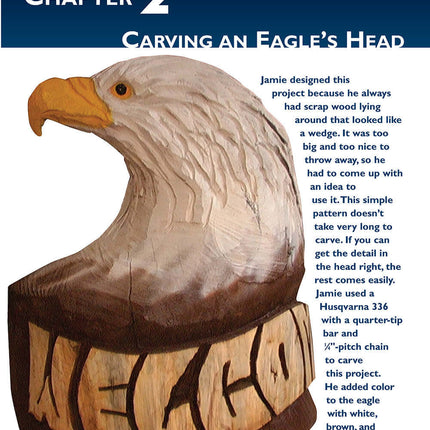 Chainsaw Carving an Eagle