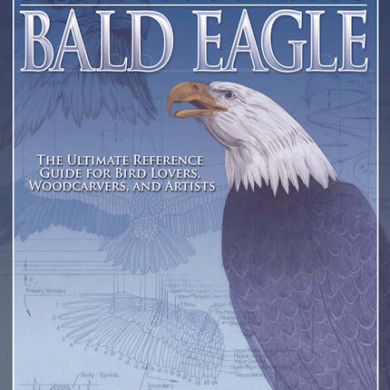 Illustrated Bald Eagle