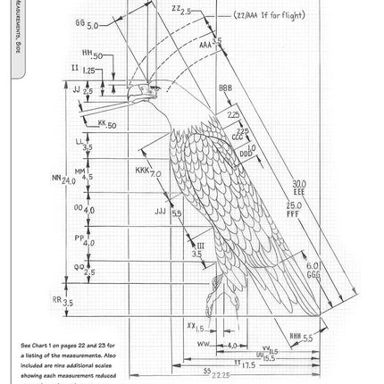 Illustrated Bald Eagle