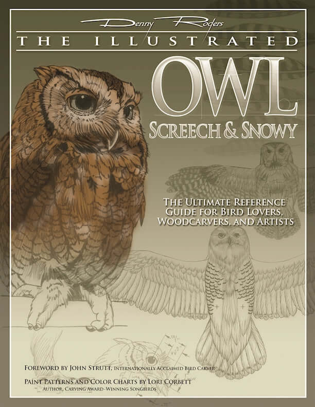 Illustrated Owl: Screech & Snowy