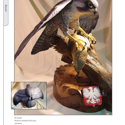 Illustrated Birds of Prey: Red-Tailed Hawk, American Kestral, & Peregrine Falcon