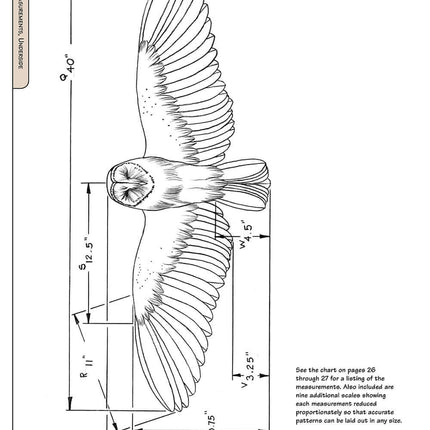 Illustrated Owl: Barn, Barred & Great Horned