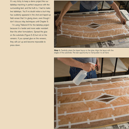 Woodworker's Guide to Veneering & Inlay (SC)