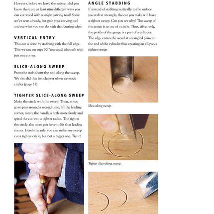 Chris Pye's Woodcarving Course & Reference Manual