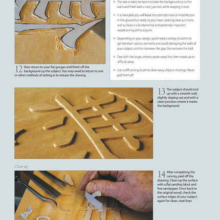 Chris Pye's Woodcarving Course & Reference Manual