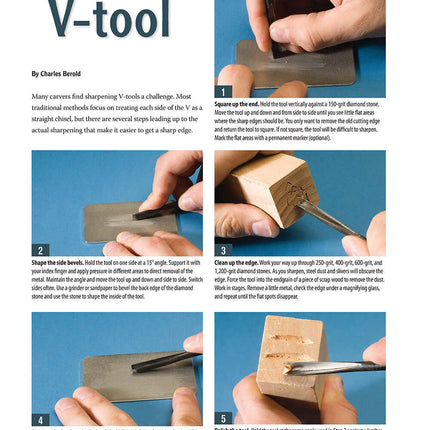 Woodcarver's Guide to Sharpening, Tools and Setting Up Shop (Best of WCI)