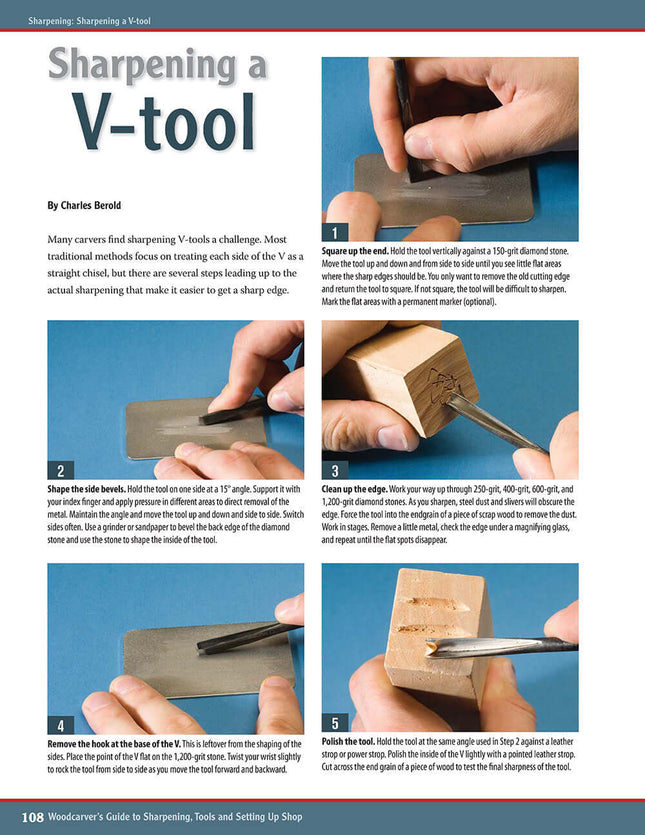 Woodcarver's Guide to Sharpening, Tools and Setting Up Shop (Best of WCI)