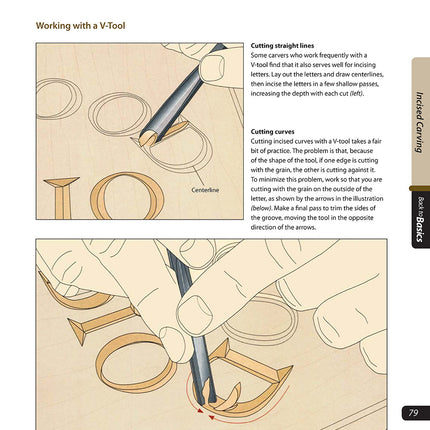 Woodworker's Guide to Carving (Back to Basics)