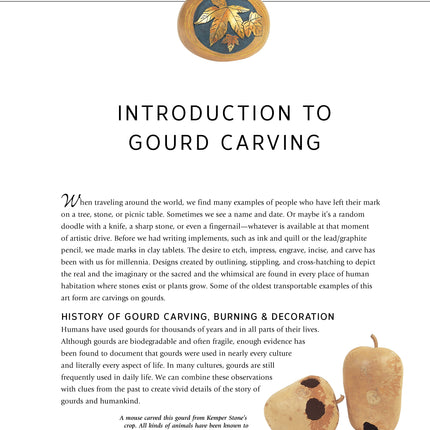 Complete Book of Gourd Carving, Revised & Expanded