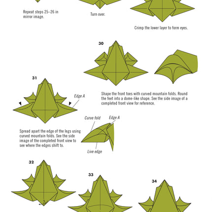 Extraordinary Origami