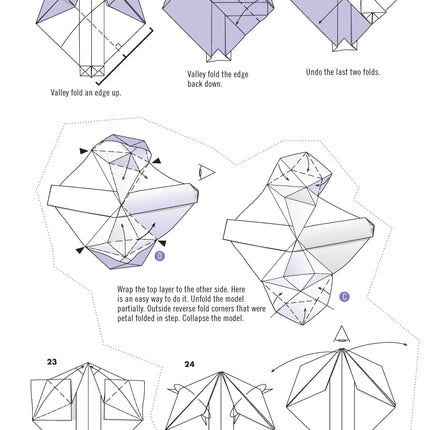 Extraordinary Origami