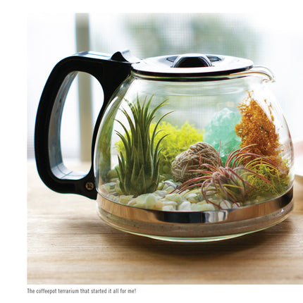 Creative Terrariums