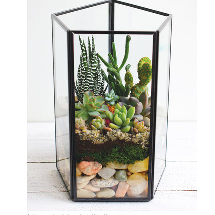 Creative Terrariums