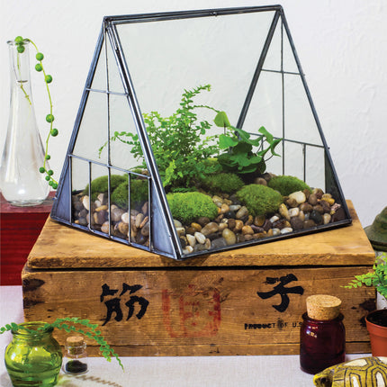 Creative Terrariums