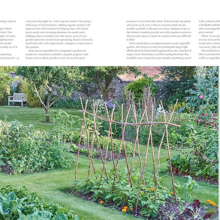 Beginner's Guide to Garden Planning and Design