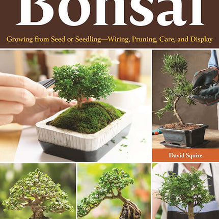 Complete Starter Guide to Bonsai