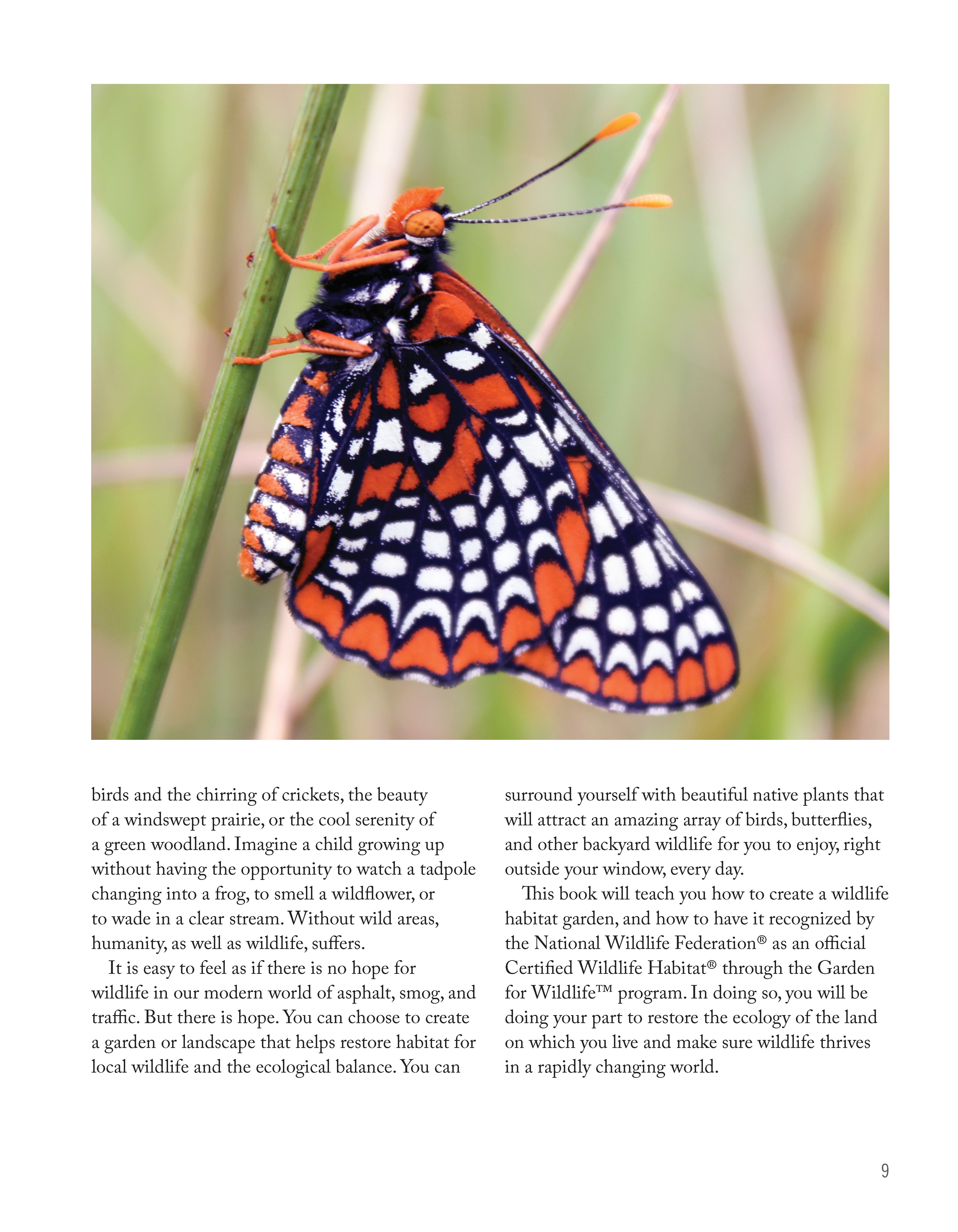 National Wildlife Federation®: Attracting Birds, Butterflies, and Other Backyard Wildlife, Expanded Second Edition