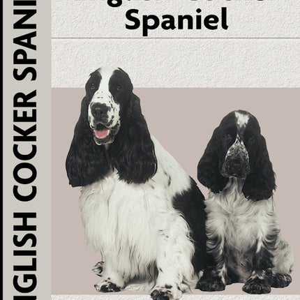 English Cocker Spaniel