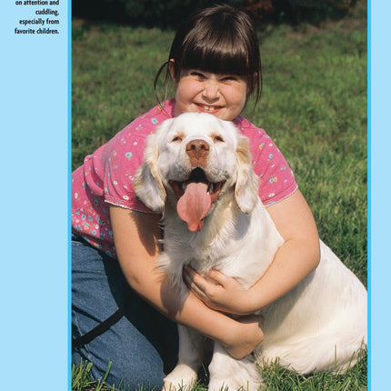 Clumber Spaniel