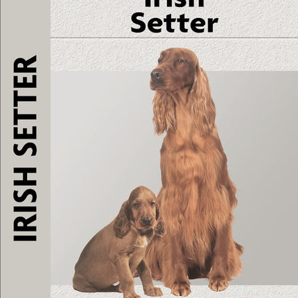 Irish Setter