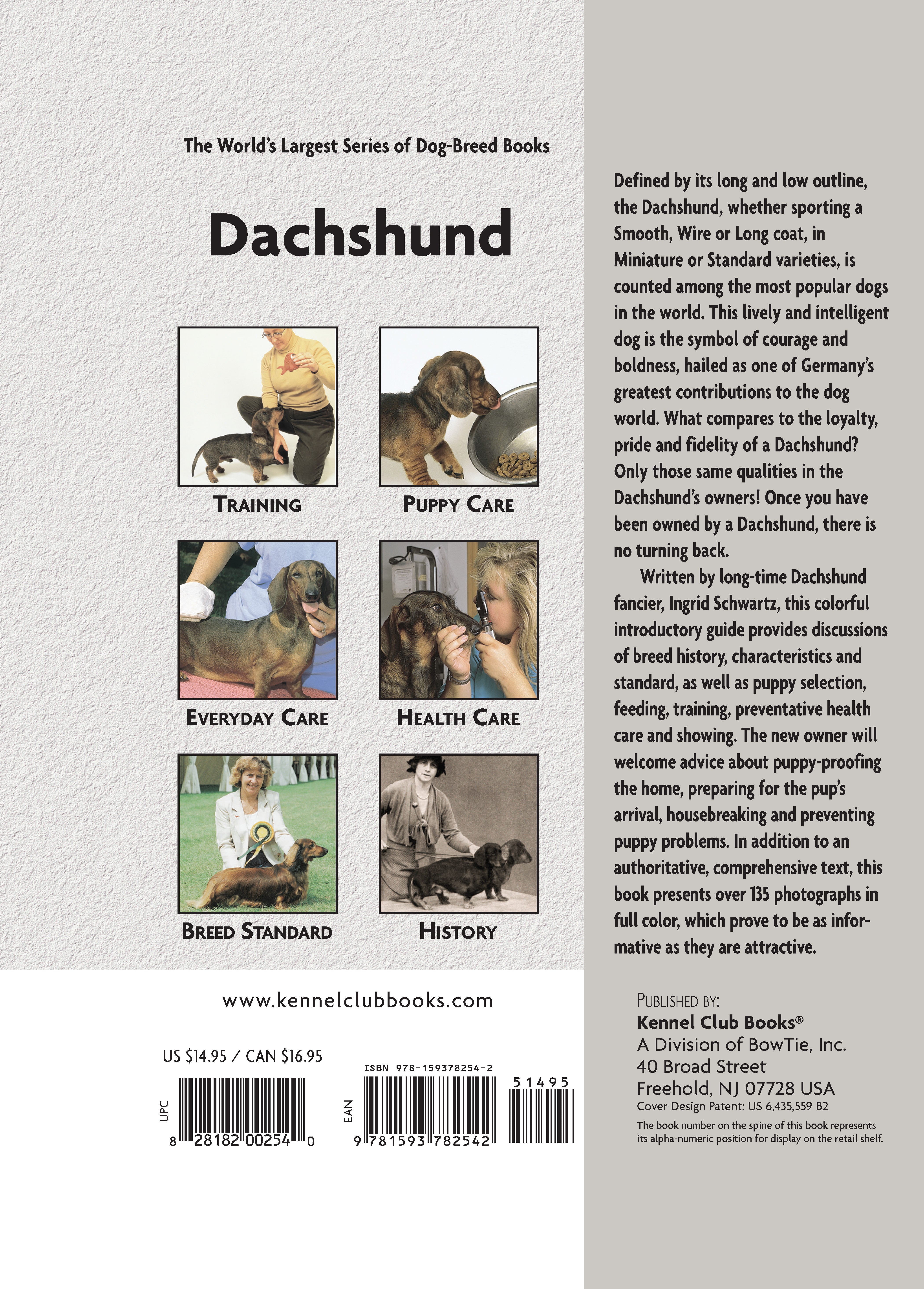 Dachshund