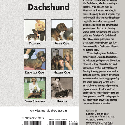 Dachshund