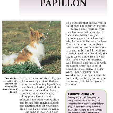 Papillon