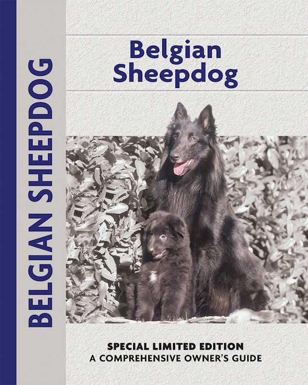 Belgian Sheepdog