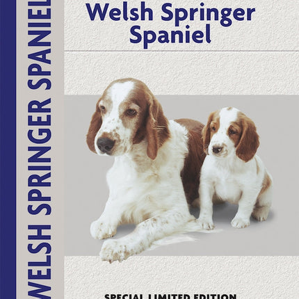 Welsh Springer Spaniel