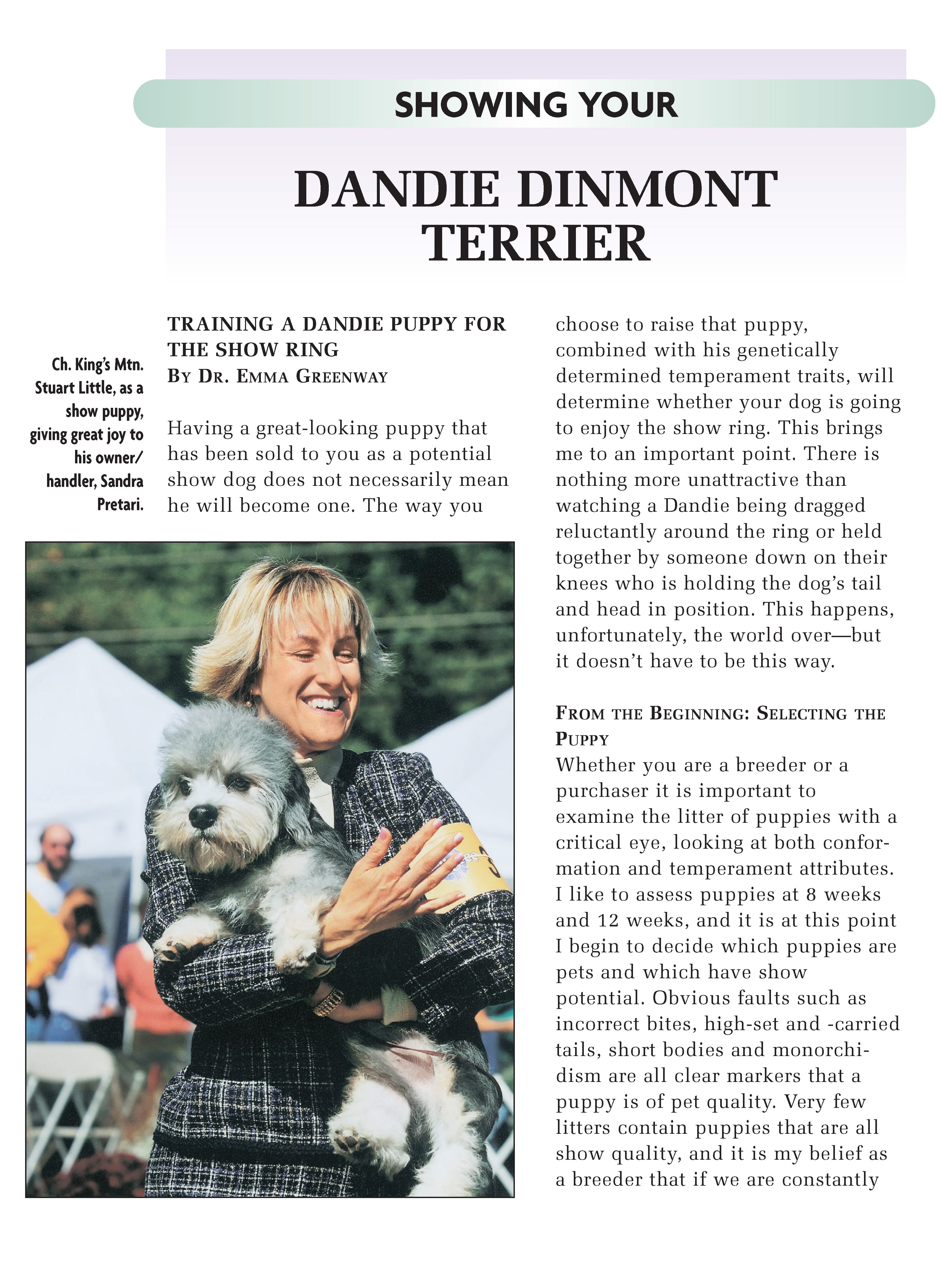 Dandie Dinmont Terrier