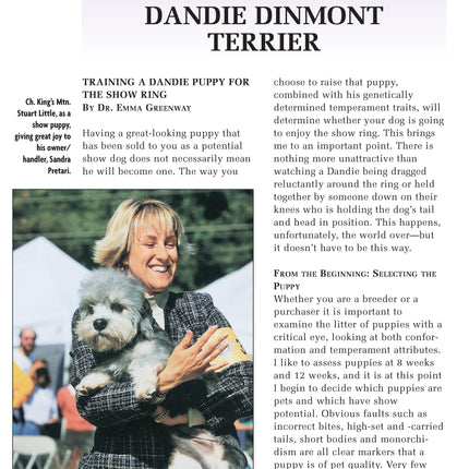 Dandie Dinmont Terrier